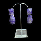 Aamaya Earrings in Purple